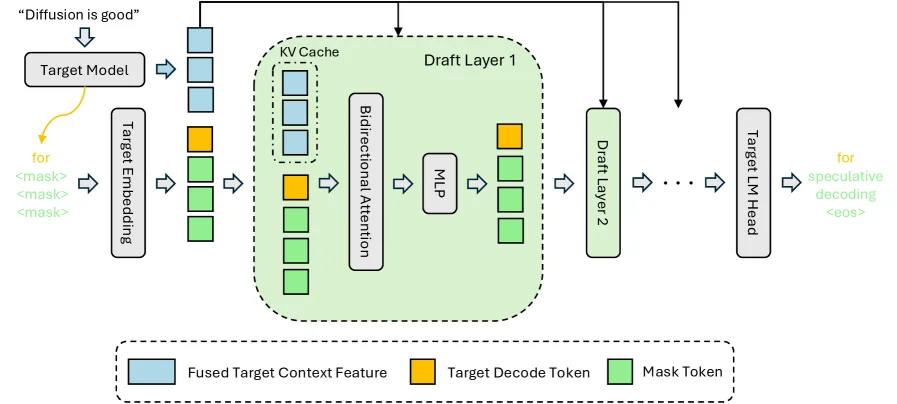 DFlash inference architecture. Target 모델에서 추출한 hidden context features를 fuse해서 draft 모델 각 layer의 Key-Value cache에 주입하는 구조